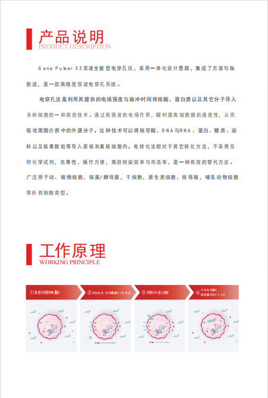 �����Vleader Gene Pulser X2 �紩���� ����չʾ����ģʽ���ܿ������