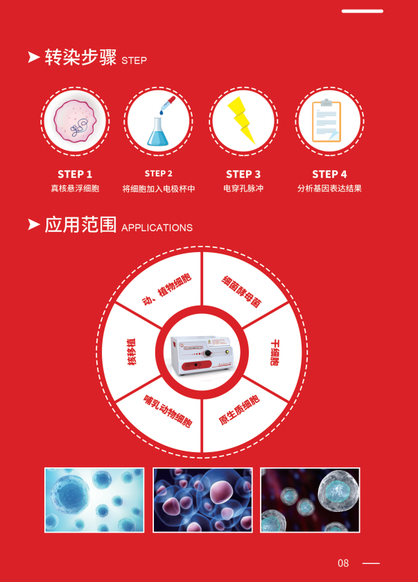 ����� Mini Pulser 399 �紩���� ���������棬ʵʱ��ʾ���������