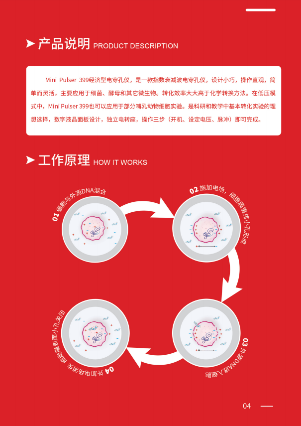 ����� Mini Pulser 399 �紩���� ����չʾ����������ʺ�ʵ���Ҳ���