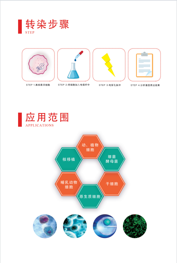 ����� Gene Pulser 830 �����紩���� ʵ�������ʾ�������ڻ���༭�뵰�׹����о�