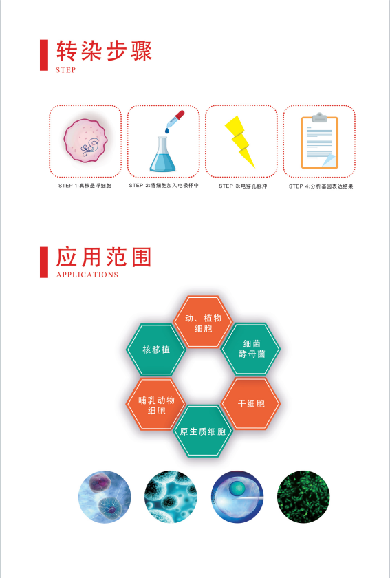 ����� Gene Pulser 630 �紩���� ����չʾ����ģʽ���ܿ������