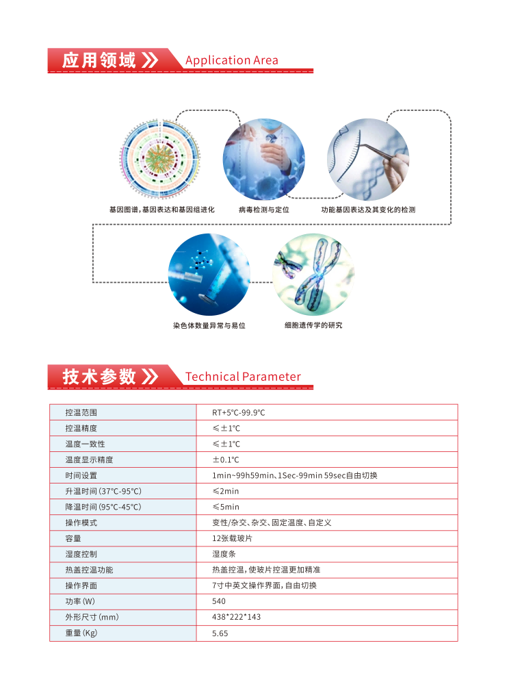 ����� HB-500 ԭλ�ӽ��� ��Ƭ������ƣ�'���Ǽ�����'�����ʵ��Ч��