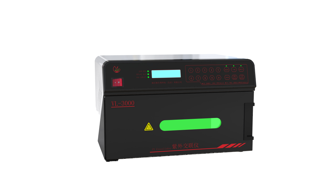 ���⽻����