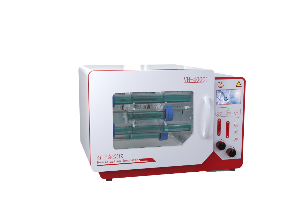 �����ӽ���