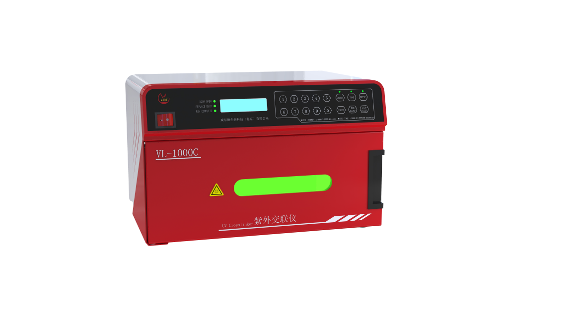 ���⽻����