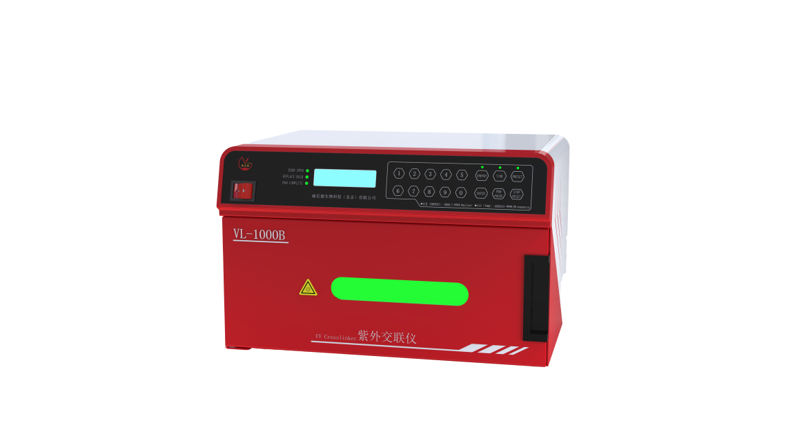 ���⽻����