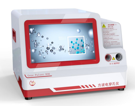 ����ʵ��Ч�ʣ��紩������ϸ��תȾ�еĹؼ��������