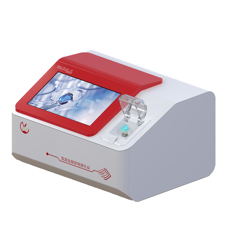 ���� siRNA ϸ��תȾЧ�ʵ͵�ԭ������