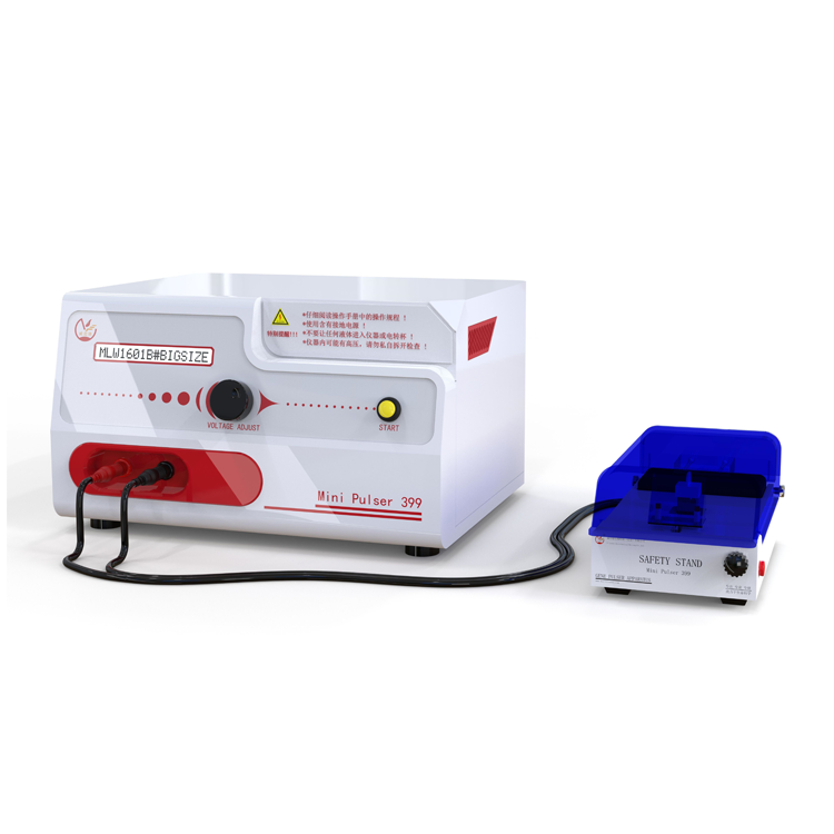 �ٽ��Ү�Ͼ����� DNA �紩��ת������