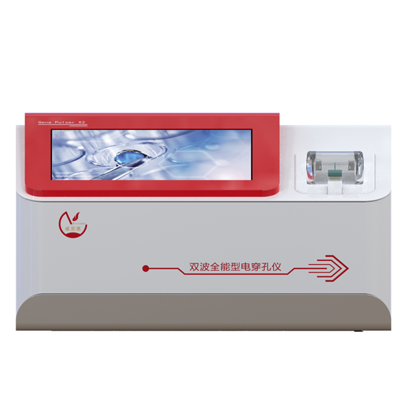 �紩����ϸ��תȾЧ����ô��